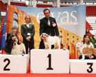 CACIB Elvas 2012